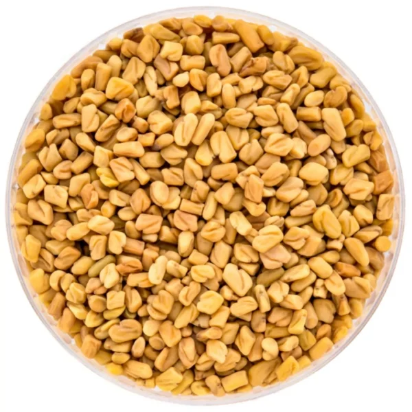 Fenugreek Seeds(Methi Seeds)