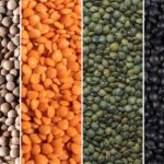 Pulses/Lentils